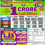 nagaland state lottery 13